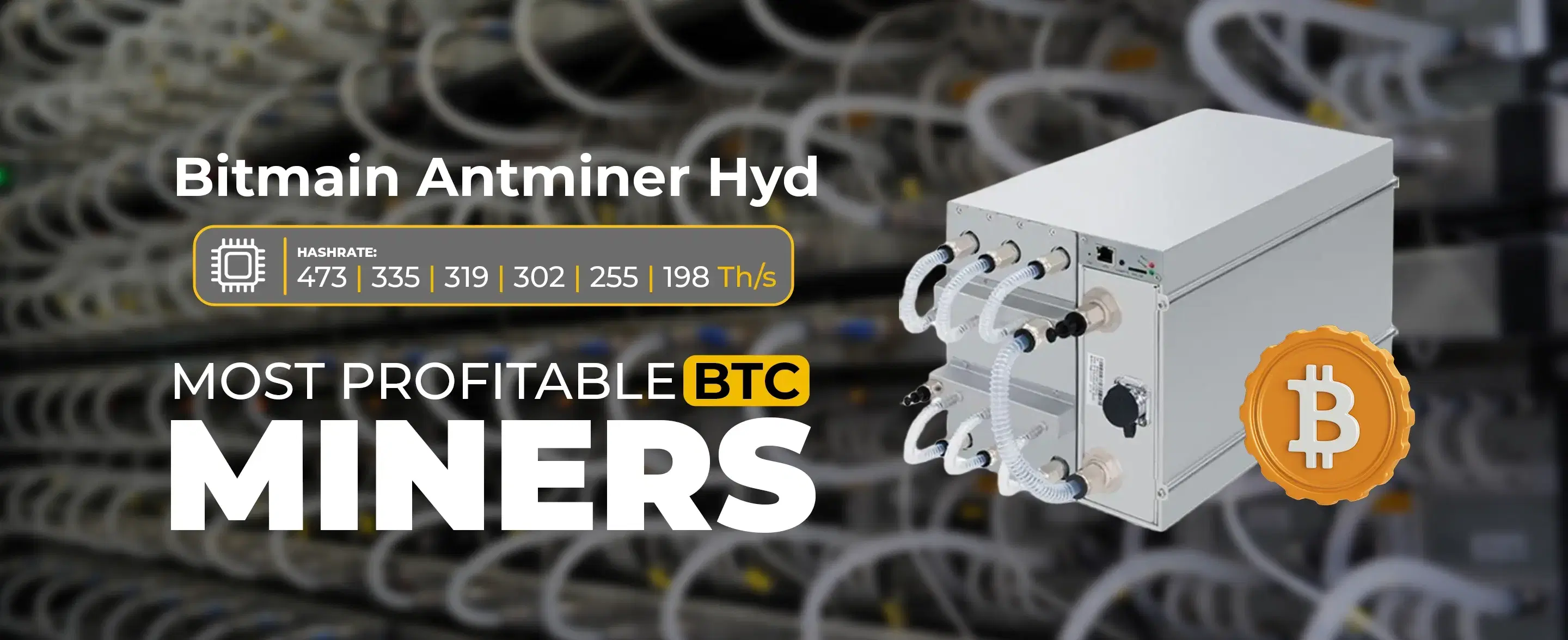 CryptoMiners.ae - Premier crypto mining hardware and hosting in the UAE