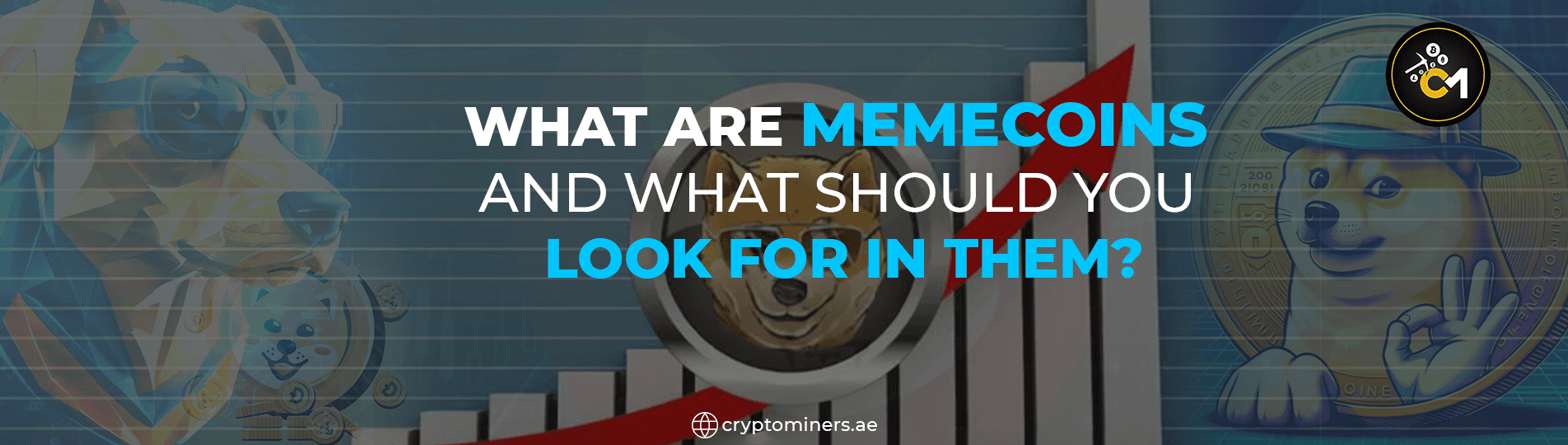 What are memecoins and what should you look for in them