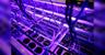 best ASIC miners
