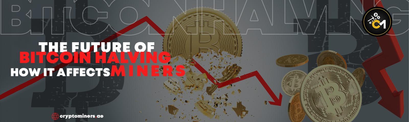 The Future of Bitcoin Halving: How It Affects Miners