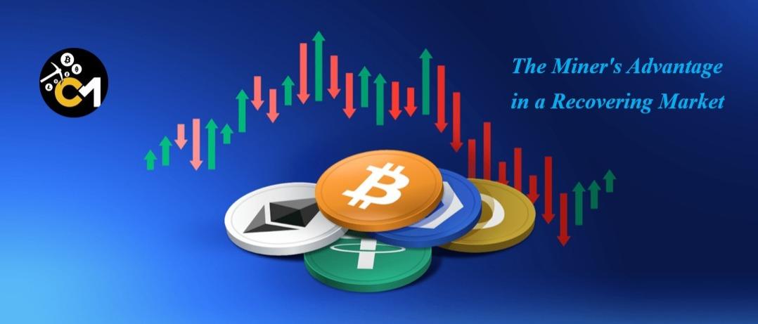 Crypto Market is Back After Price Correction What is Next?